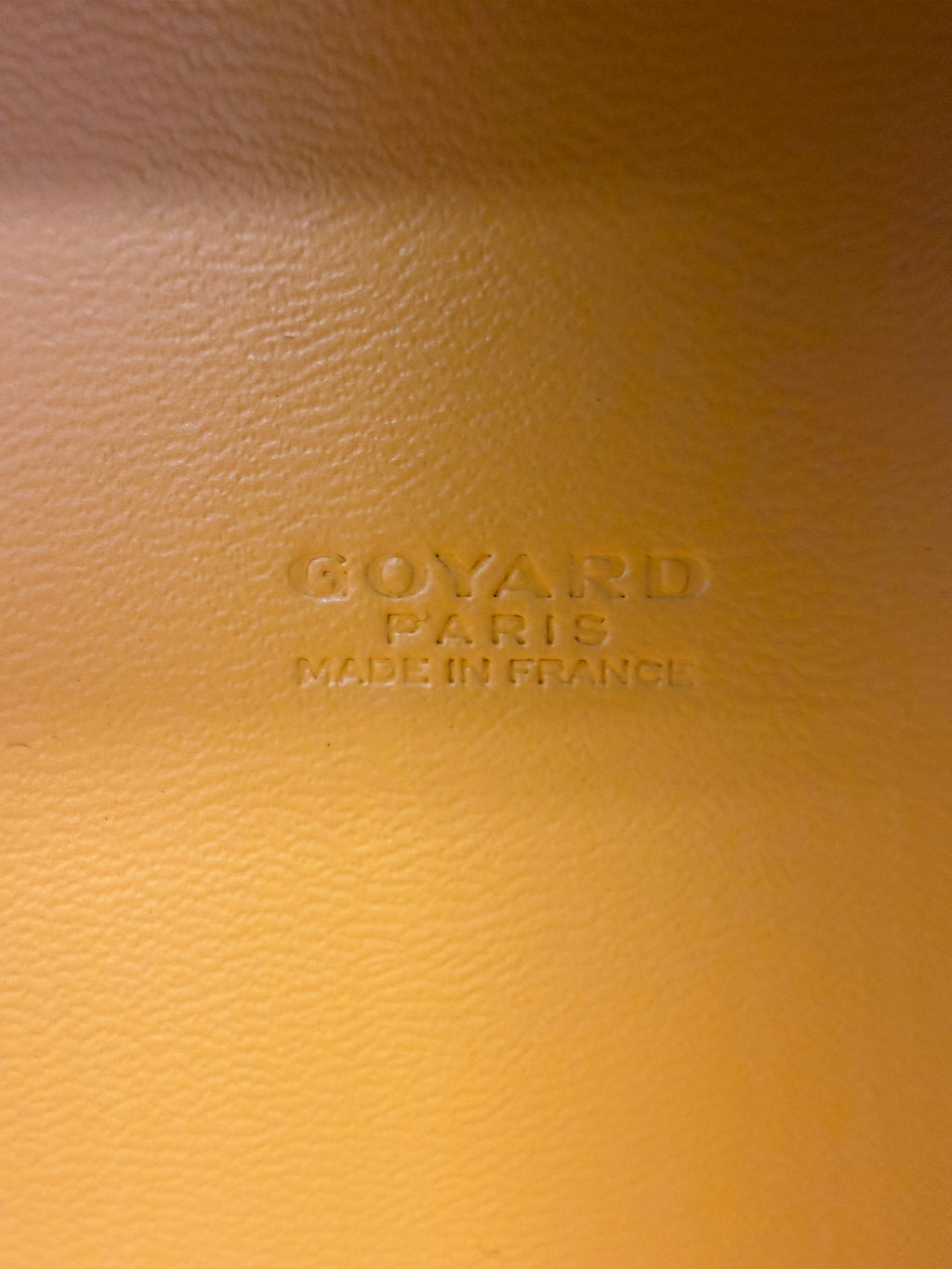 Goyard Saïgon Mini Trunk Bag Black Palladium Hardware