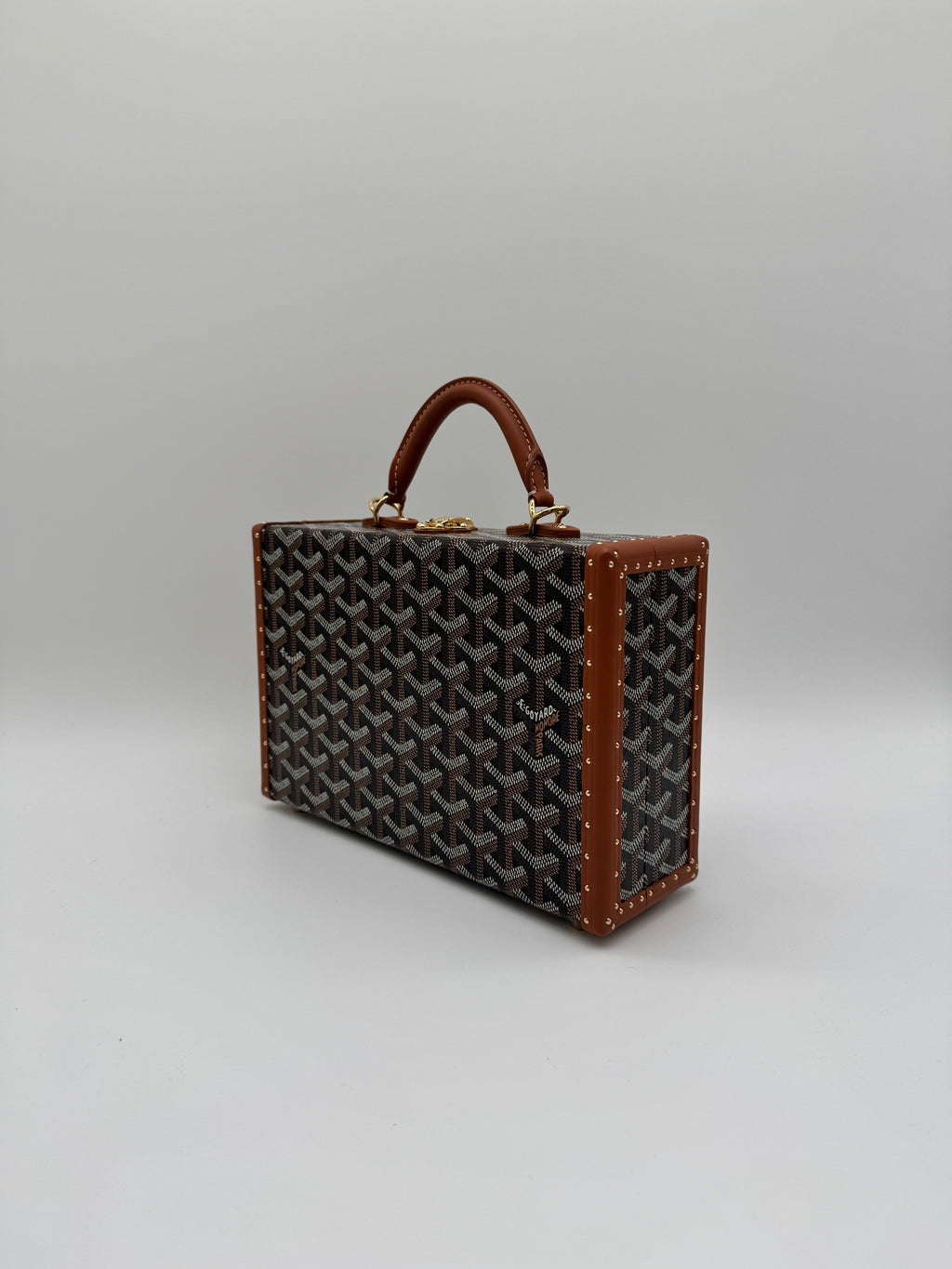 Goyard Grand Hôtel Trunk Bag Black & Tan Gold Hardware