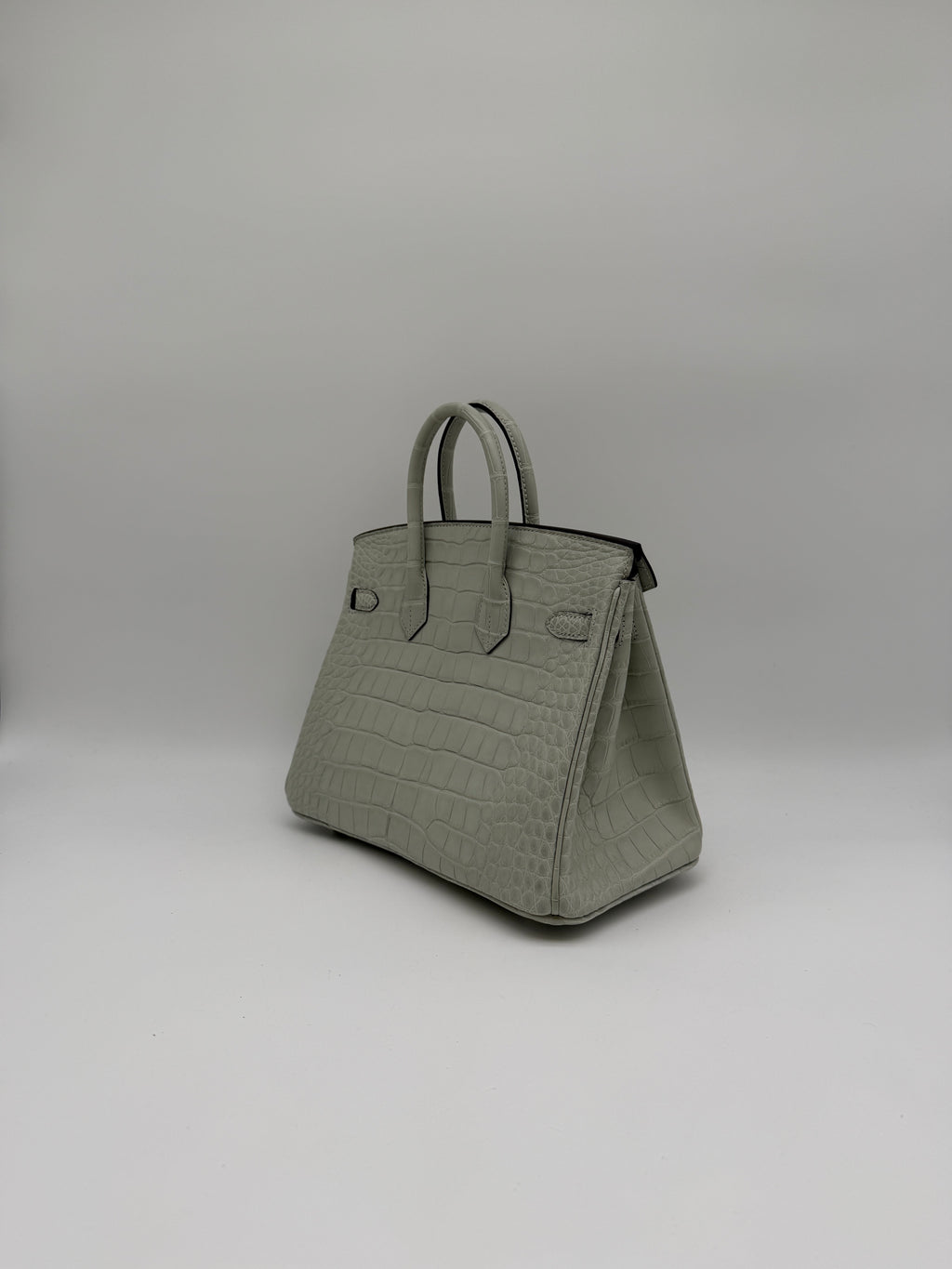 Hermès Birkin 25 Gris Neve Matt Alligator Palladium Hardware