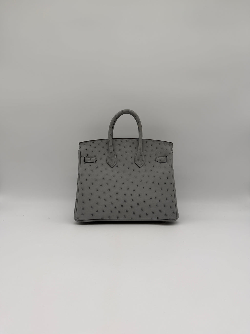 Hermès Birkin 25 Ostrich Bleu Glacier Palladium Hardware