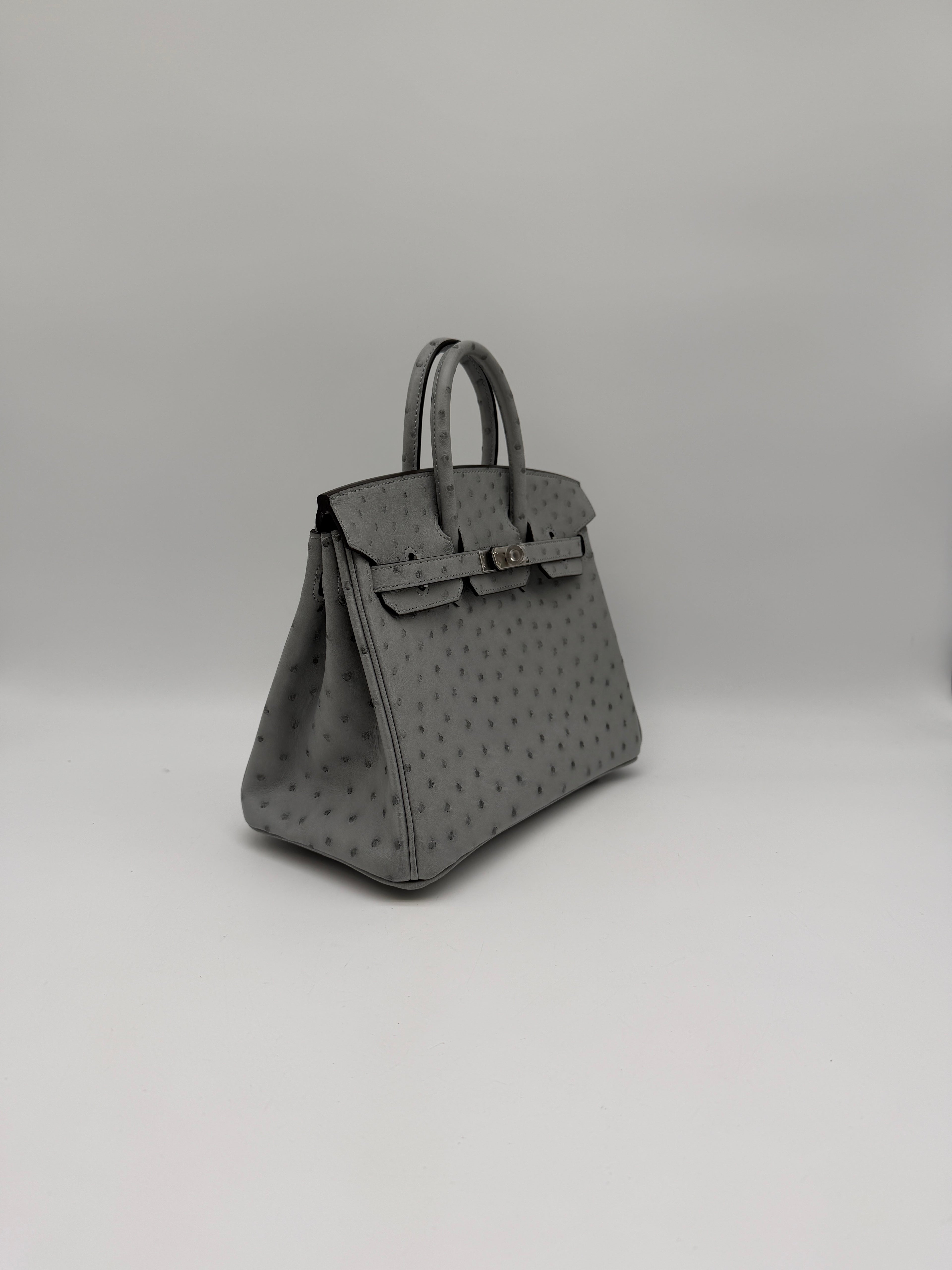 Hermès Birkin 25 Ostrich Bleu Glacier Palladium Hardware