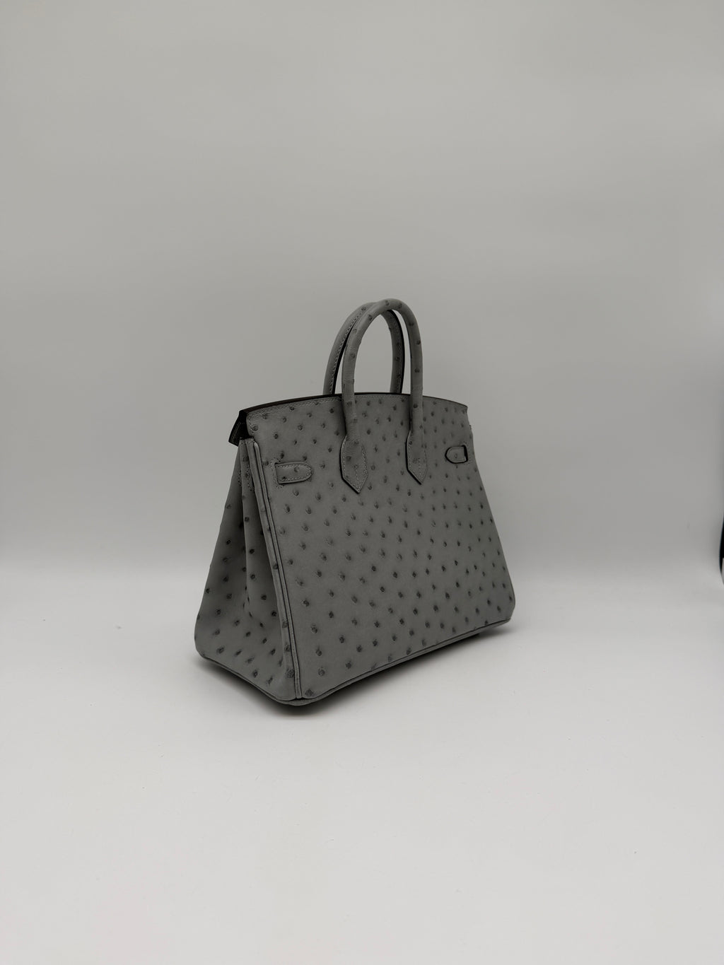 Hermès Birkin 25 Ostrich Bleu Glacier Palladium Hardware