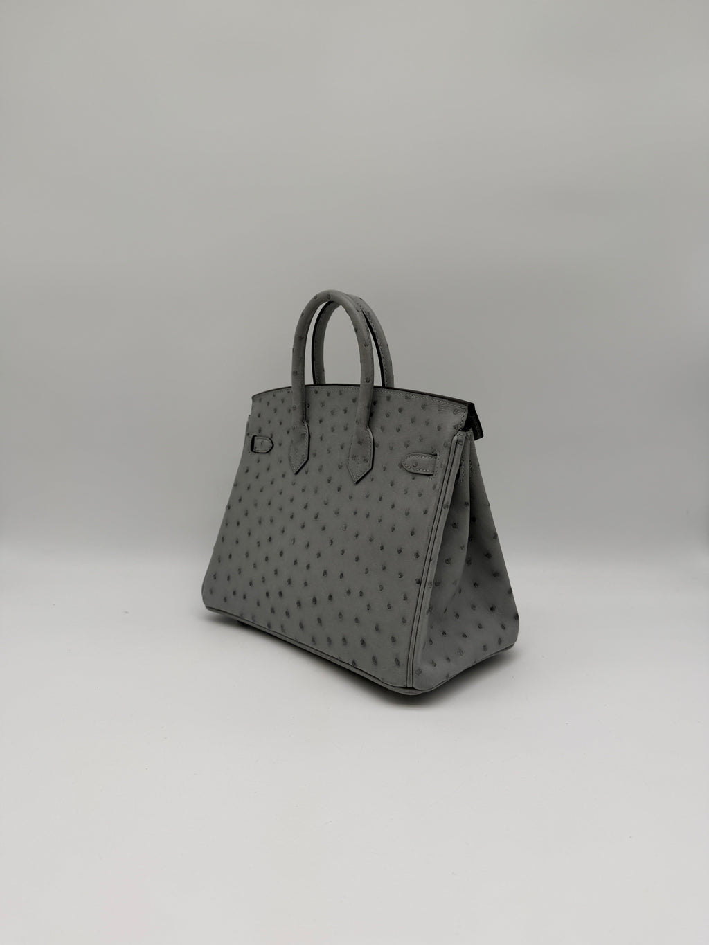 Hermès Birkin 25 Ostrich Bleu Glacier Palladium Hardware