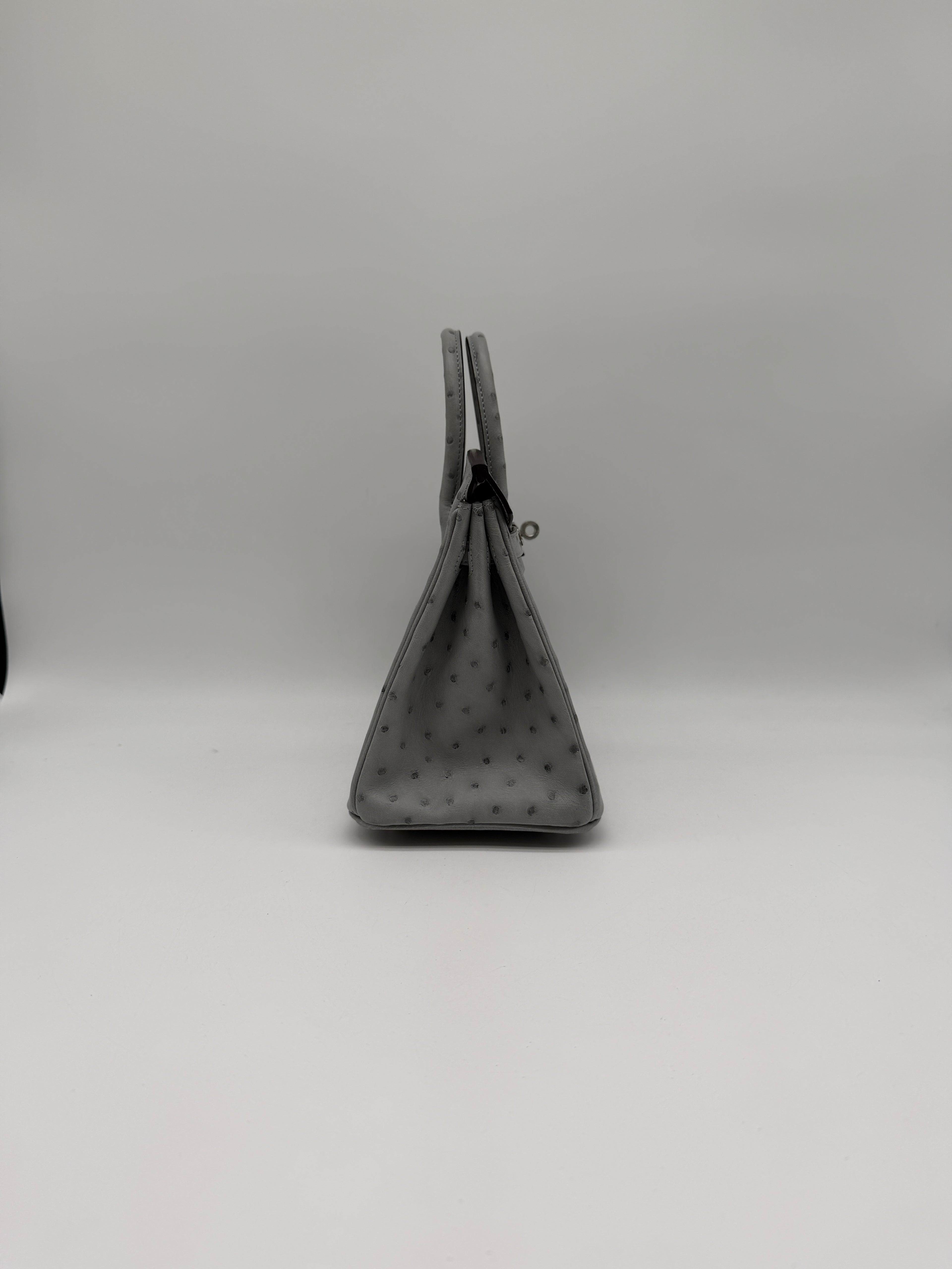 Hermès Birkin 25 Ostrich Bleu Glacier Palladium Hardware