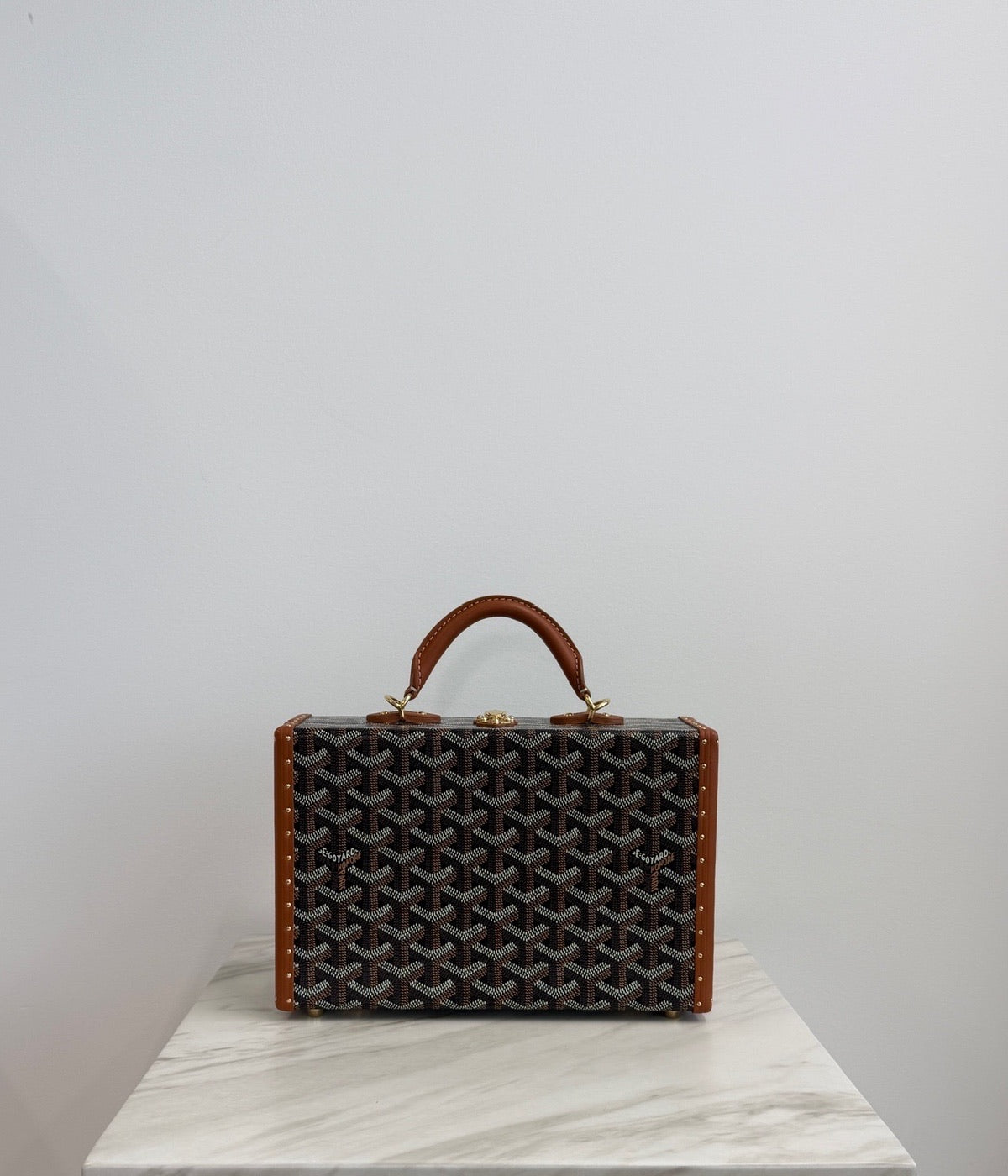 Goyard Grand Hôtel Trunk Bag Black & Tan Gold Hardware