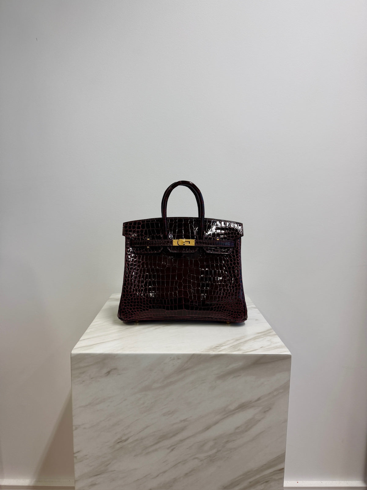 Hermès Birkin 25 Bordeaux Shiny Porosus Gold Hardware